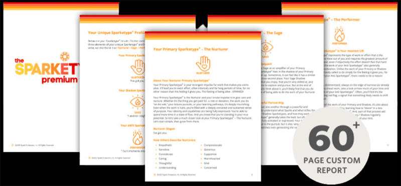 Sparketype Premium Profile